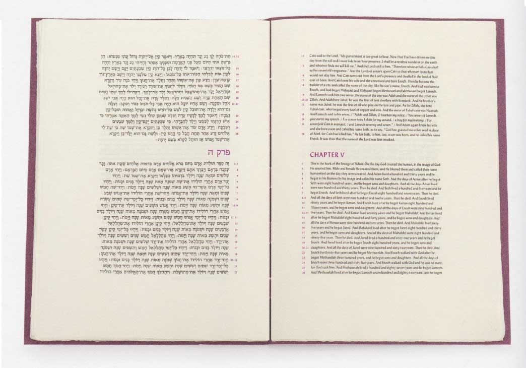 Genesis, Translated from the Hebrew by Robert Alter